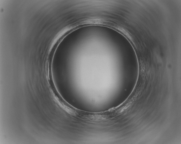 X0000069831131200605221200