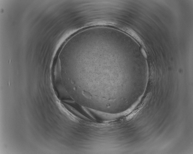 X0000069831132200605221200