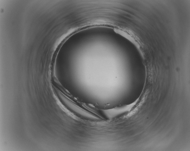 X0000069831134200605221200