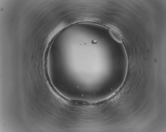 X0000069831135200605221200