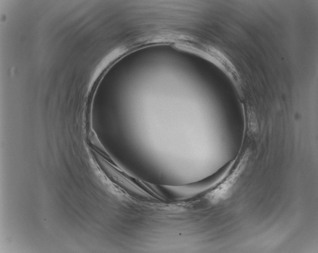 X0000069831138200605221200