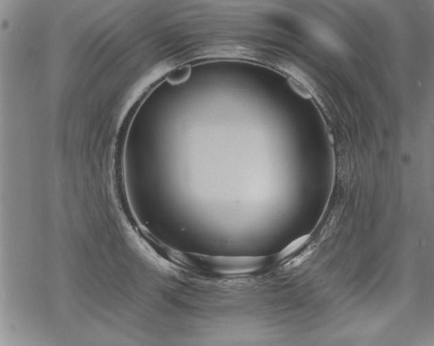 X0000069831139200605221200