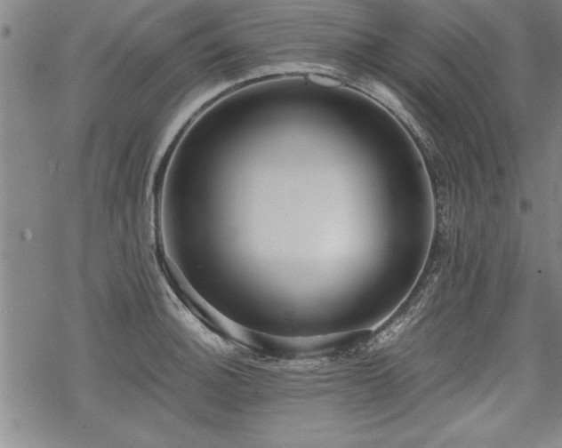 X0000069831140200605221200