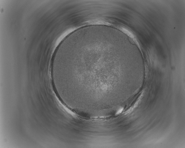 X0000069831141200605221200