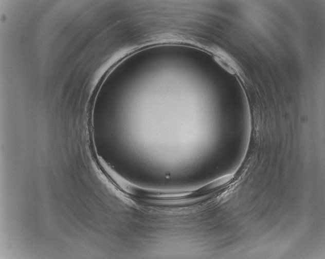 X0000069831142200605221200