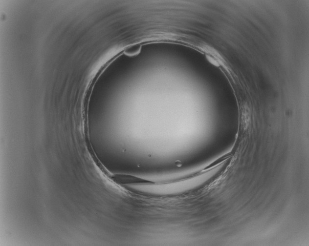 X0000069831143200605221200