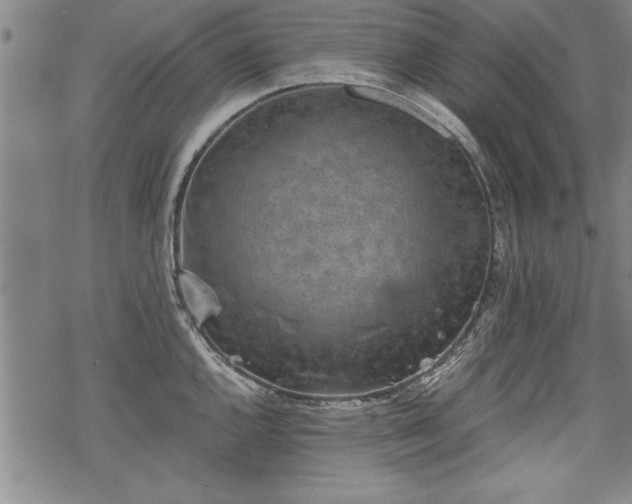 X0000069831144200605221200