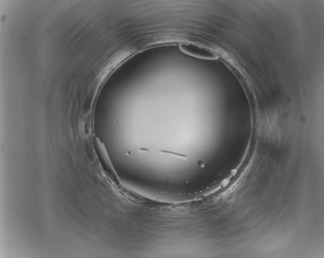 X0000069831145200605221200