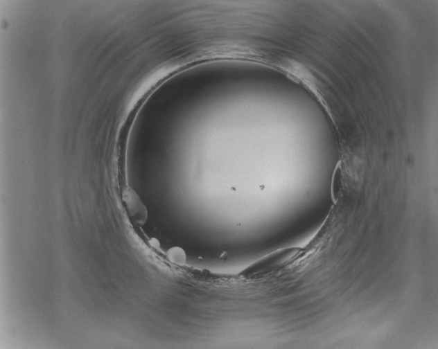 X0000069831147200605221200