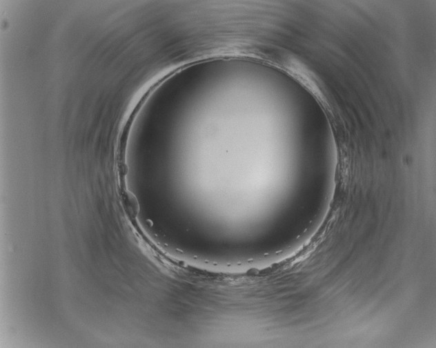 X0000069831148200605221200