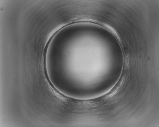 X0000069831149200605221200