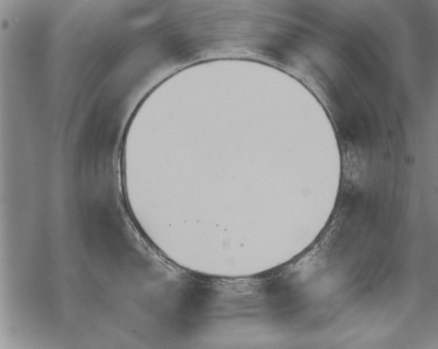 X0000069831150200605221200