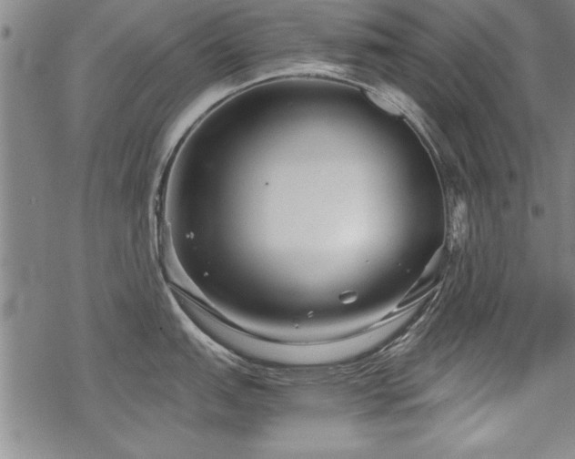 X0000069831151200605221200