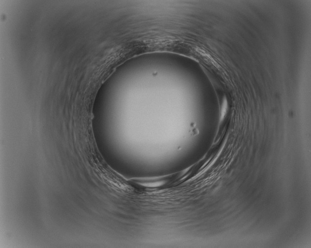 X0000069831153200605221200