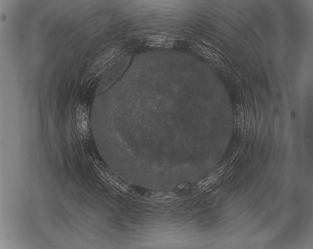 X0000069831154200605221200