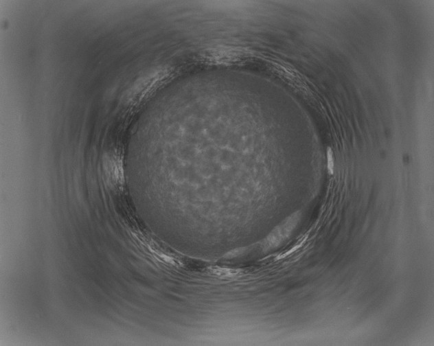 X0000069831155200605221200