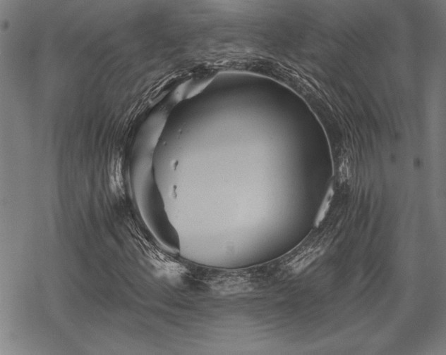 X0000069831156200605221200