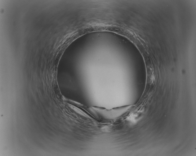 X0000069831157200605221200