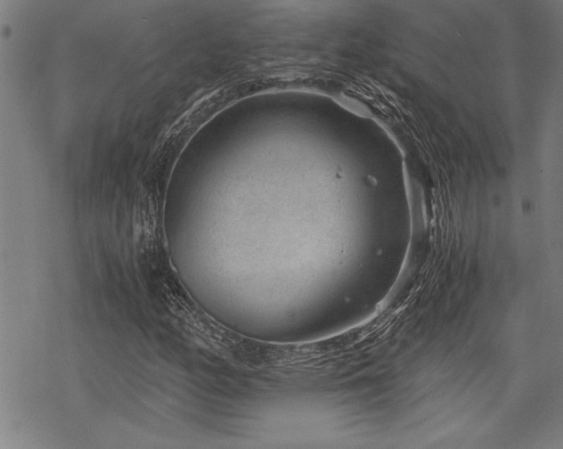 X0000069831158200605221200