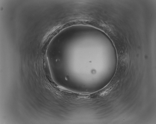 X0000069831159200605221200