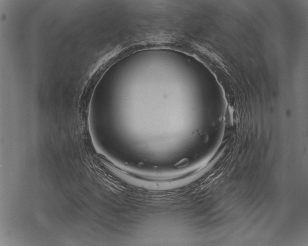 X0000069831160200605221159