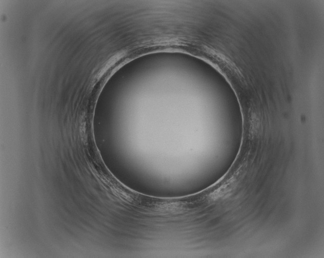 X0000069831162200605221159