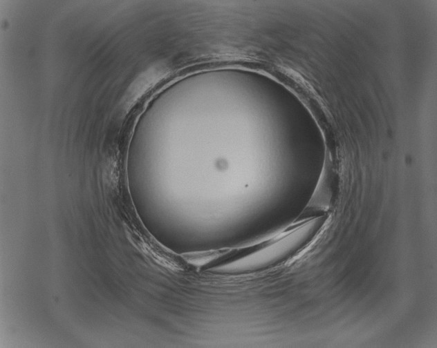 X0000069831163200605221159