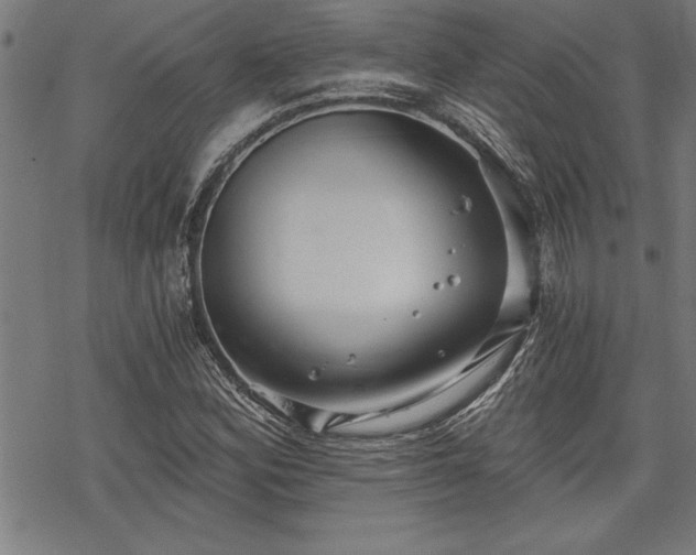 X0000069831164200605221159