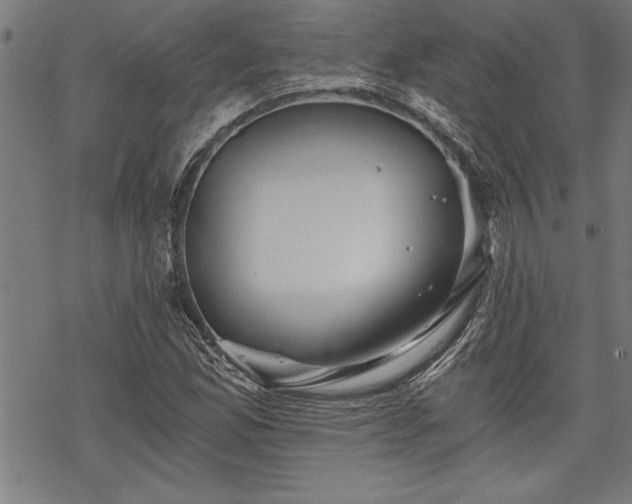 X0000069831165200605221159