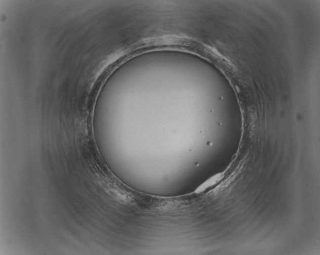 X0000069831166200605221159