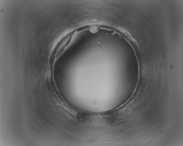 X0000069831167200605221159