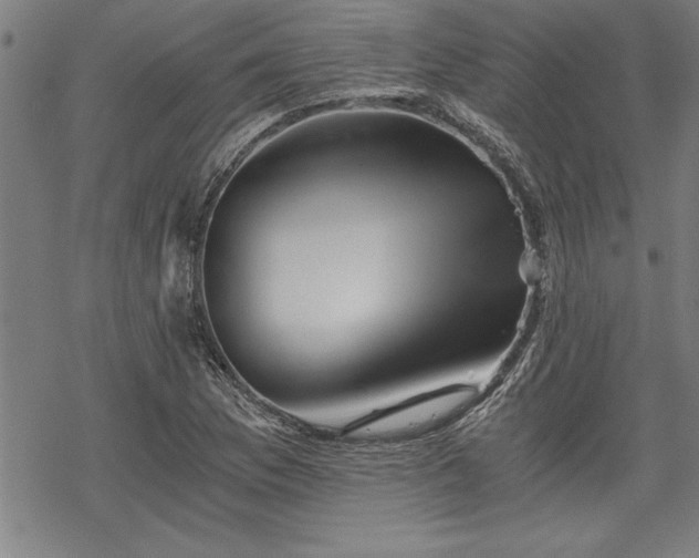 X0000069831169200605221159