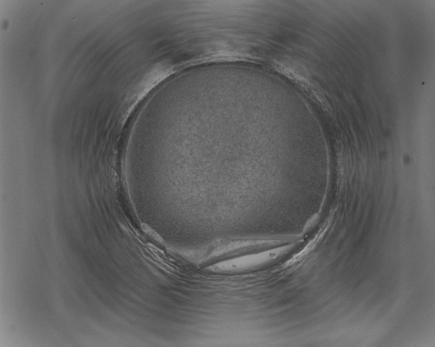 X0000069831170200605221159