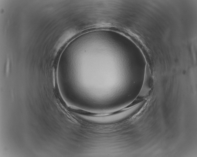 X0000069831171200605221159