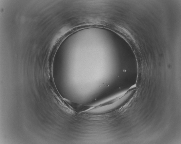 X0000069831172200605221159