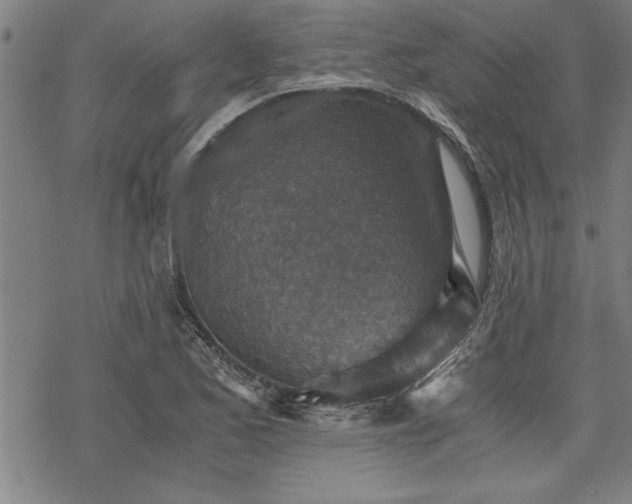 X0000069831173200605221159