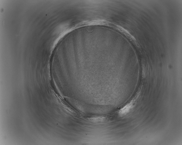 X0000069831174200605221159