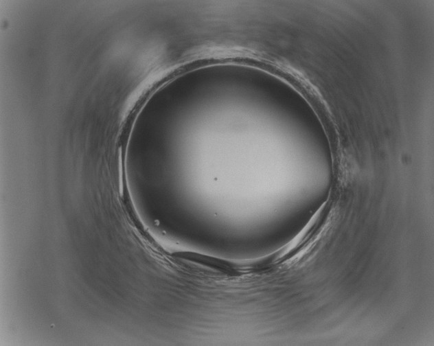 X0000069831175200605221159