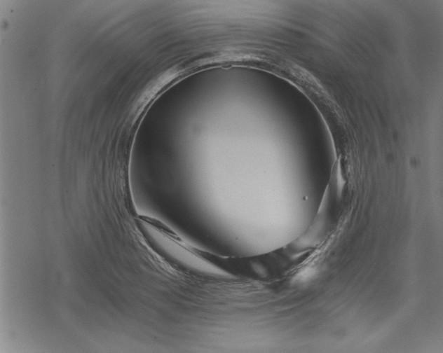 X0000069831177200605221159