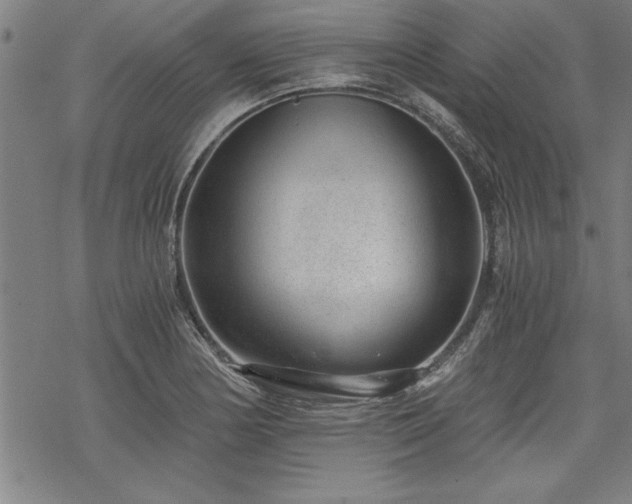 X0000069831178200605221159