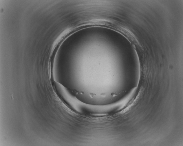 X0000069831180200605221159