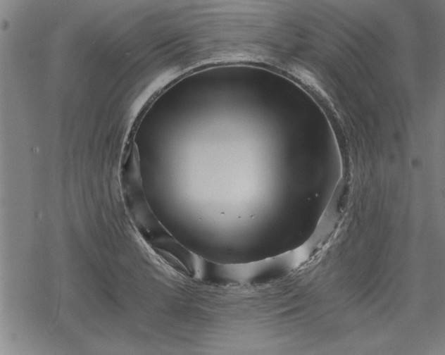 X0000069831181200605221159