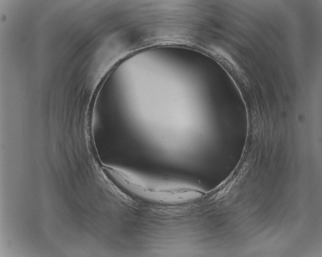 X0000069831182200605221159