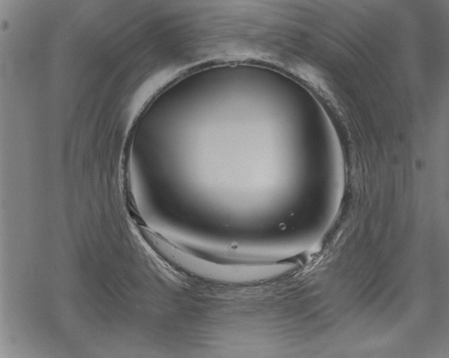 X0000069831183200605221159