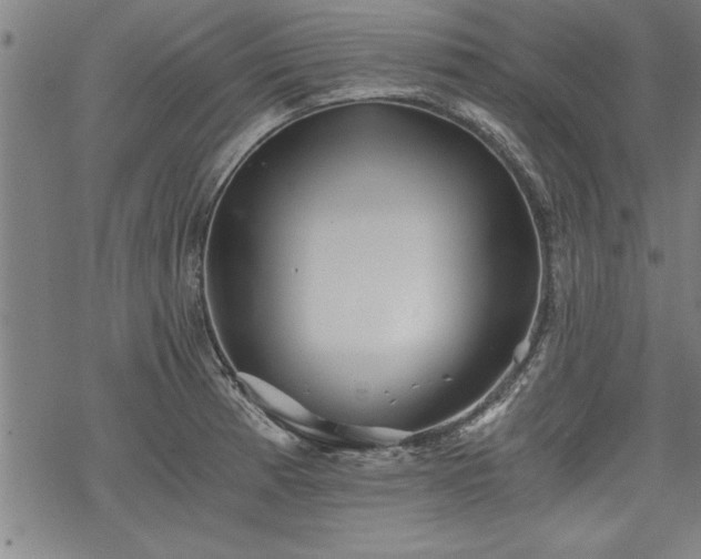 X0000069831185200605221159