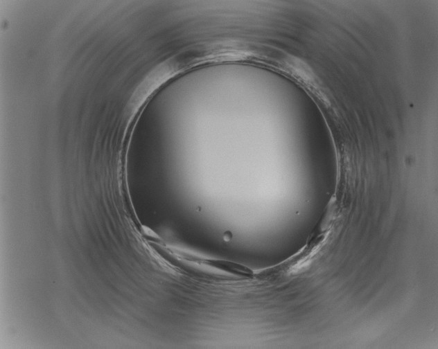 X0000069831186200605221159