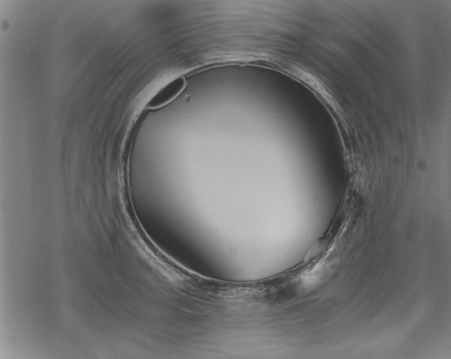 X0000069831187200605221159