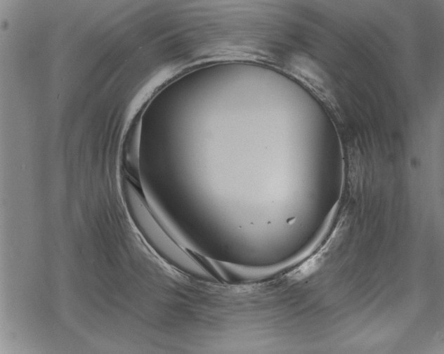 X0000069831188200605221159