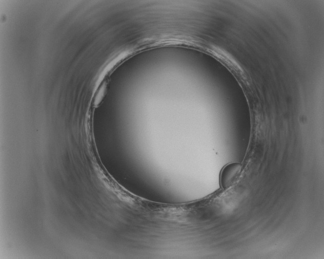 X0000069831190200605221159