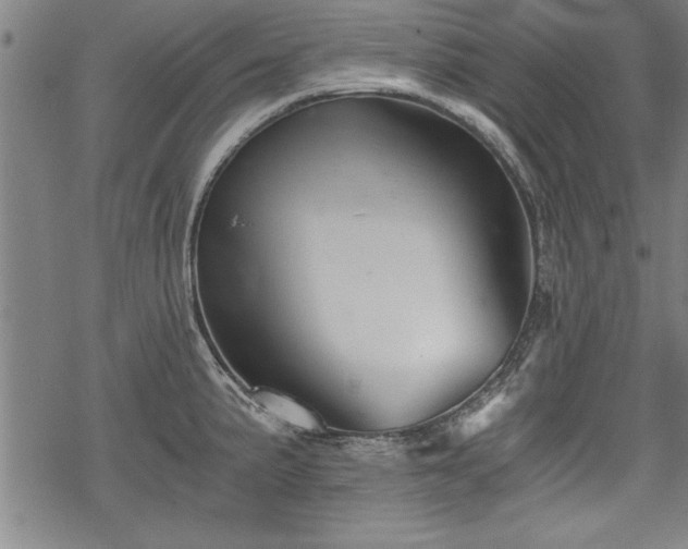 X0000069831191200605221159